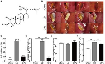 Gypenosides Prevent and Dissolve Cholesterol Gallstones by Modulating the Homeostasis of Cholesterol and Bile Acids